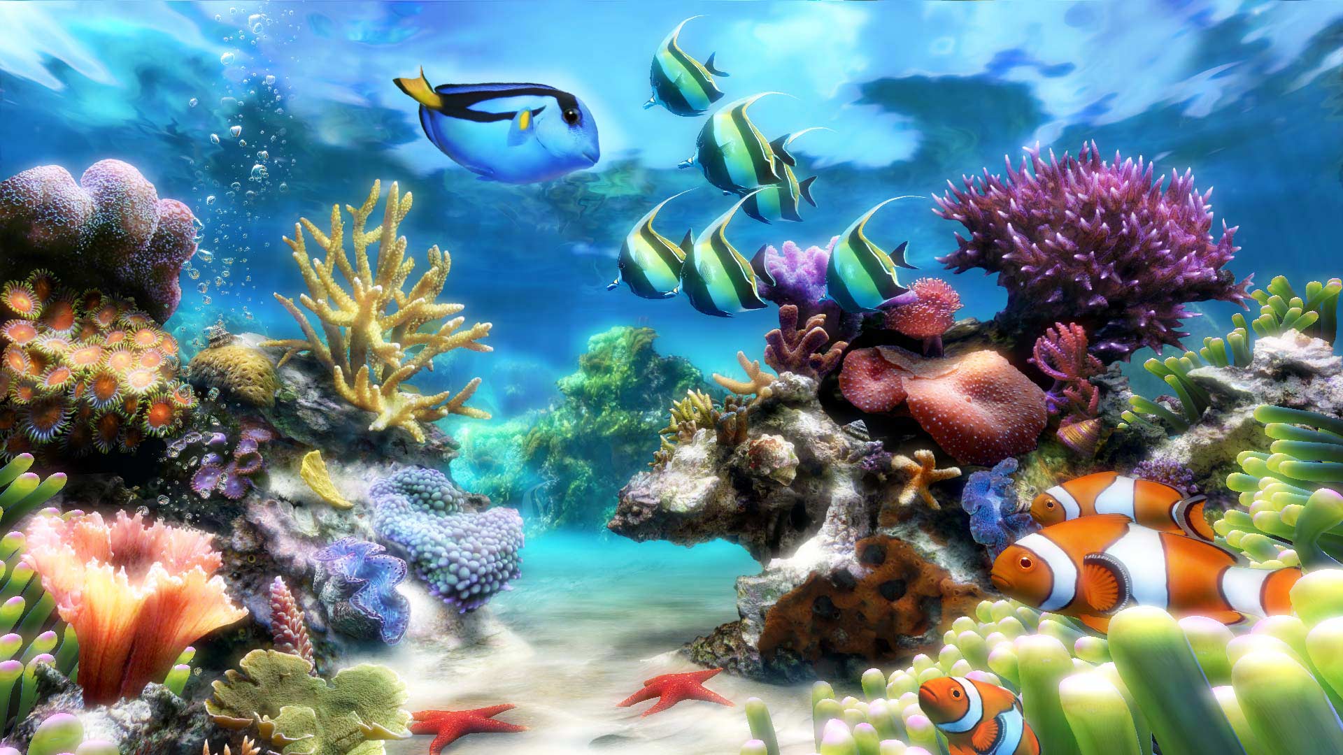 Free download dream aquarium screensaver full version for windows 7